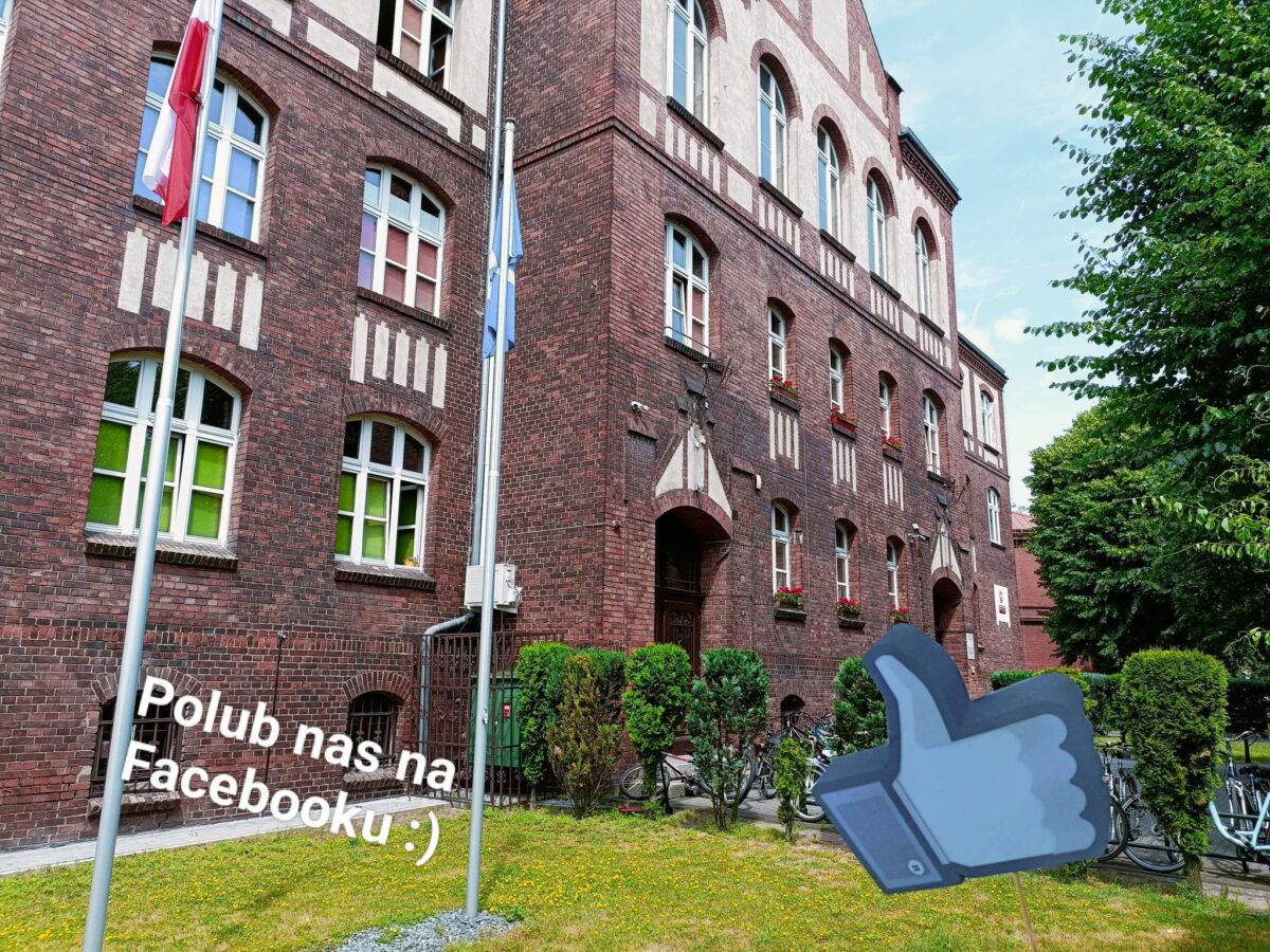 Szkola Podstawowa Nr 2 im. Powstancow Wielkopolskich w Grodzisku Wlkp